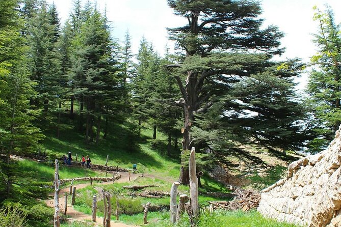 6-Day Highlights of Lebanon Tour from Beirut with Pickup - Why Beirut works as your six-day base