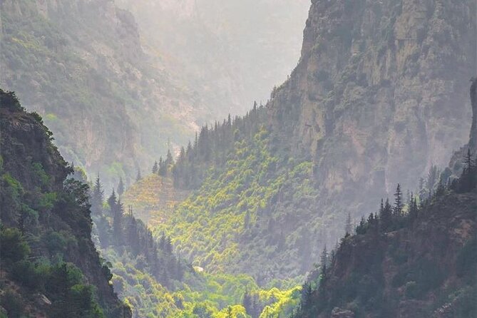 8-Day Lebanon Travel Package from Beirut - Qadisha Valley, Bcharre, and the Cedars of God