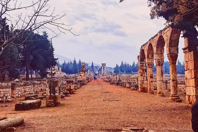 Baalback , Anjar & Chateau Ksara - Chateau Ksara, from ancient caves to Lebanese wine
