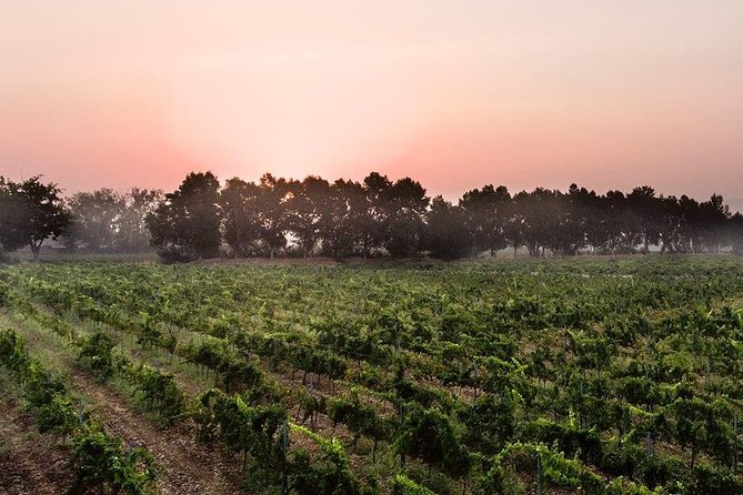 Baalback , Anjar & Chateau Ksara - What the private format changes