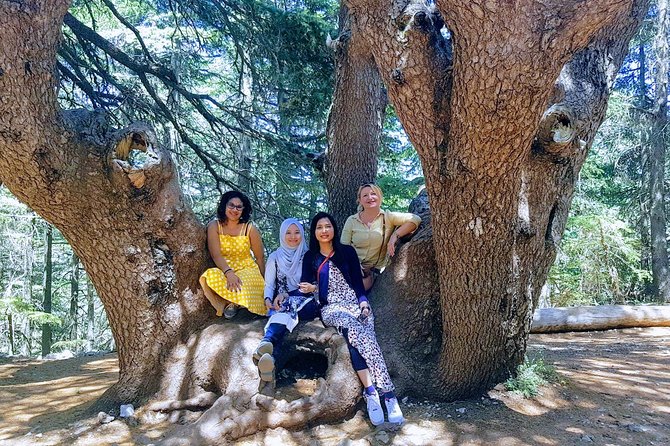 Beirut to Qadisha Valley, Bcharri & Cedar: Daily Tours with Lunch - Is $65 good value from Beirut?