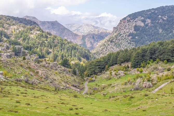 Cedars, Bsharre & Kozhaya Day Tour - Key points to know before booking
