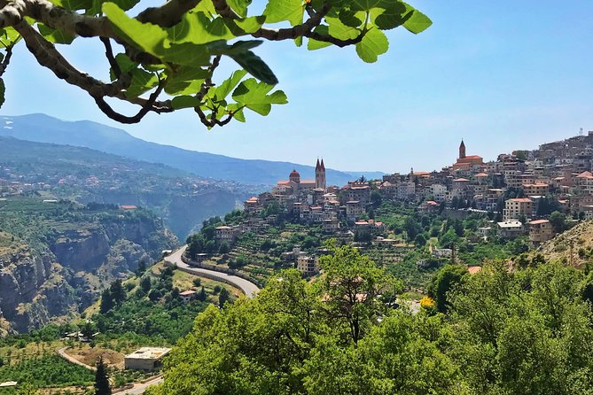 Cedars, Bsharre & Kozhaya Day Tour - Who should book this Lebanon day tour?