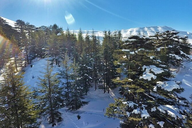 Cedars of Lebanon, Qozhaya, & Bcharre - With Lunch (4G on Board) - Kozhaya and the Monastery of St. Anthony