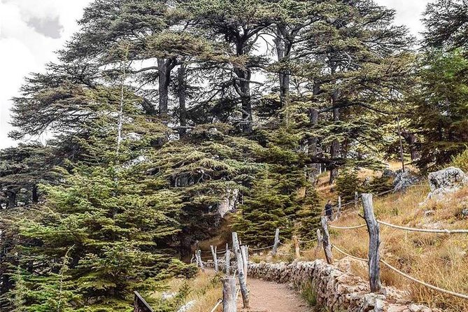 Cedars of Lebanon, Qozhaya, & Bcharre - With Lunch (4G on Board) - Leaving Beirut for the Qadisha mountains