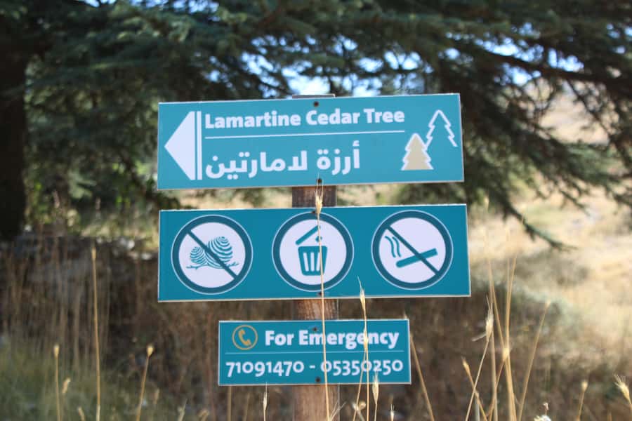 Cedars Shouf & Beiteddine w/pick-up, guide, entries+lunch - Deir el Qamar and its white village squares