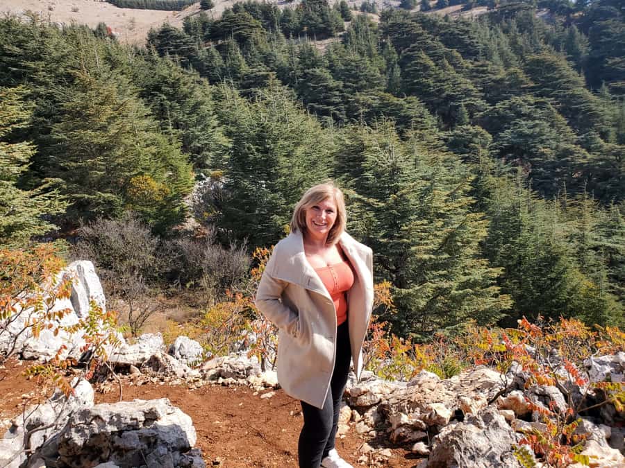 Cedars Shouf & Beiteddine w/pick-up, guide, entries+lunch - Is $140 a fair price?