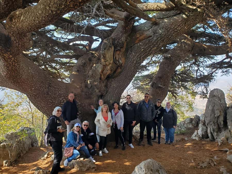 Cedars Shouf & Beiteddine w/pick-up, guide, entries+lunch - Who should book this experience?