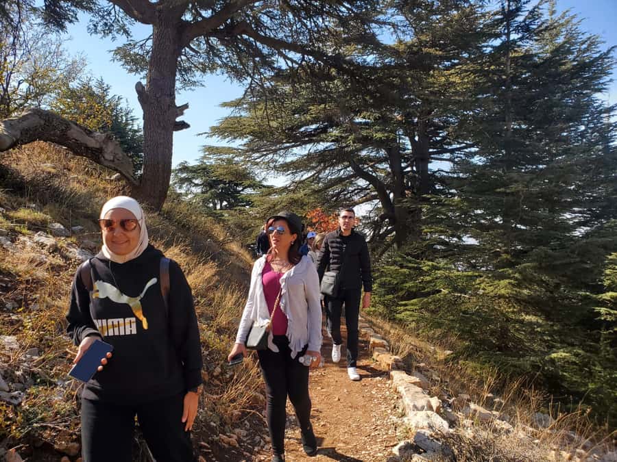 Cedars Shouf & Beiteddine w/pick-up, guide, entries+lunch - Final verdict: should you book it?