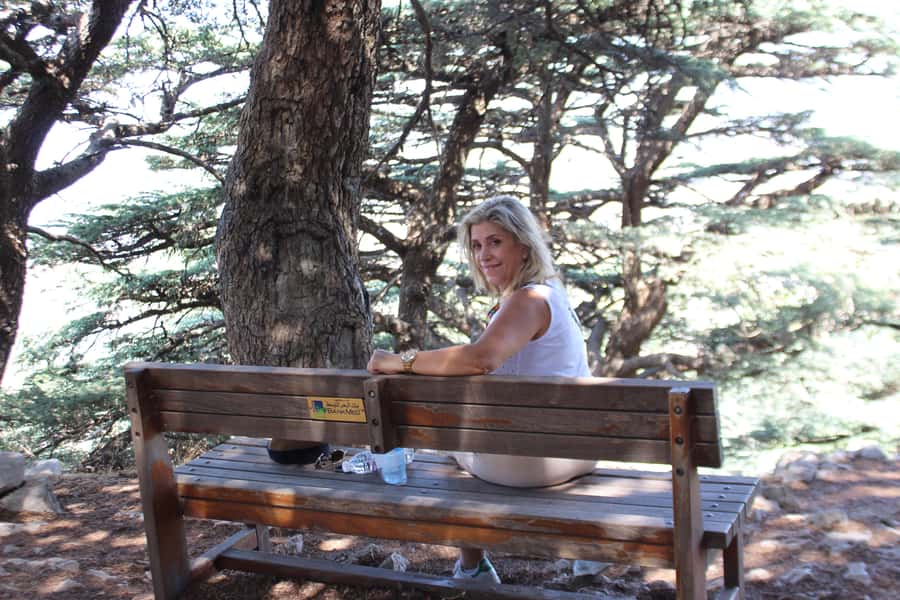 Cedars Shouf & Beiteddine w/pick-up, guide, entries+lunch - Walking among the Shouf cedars
