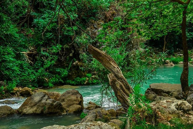 Chouwen Lake Hiking & Swimming - What the guides add to the day