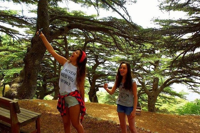 Deir Al-Qamar, Beiteddine Palace and Barouk Cedars Tour - Why this Beirut day trip works