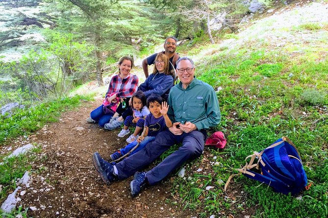 Exploring Lebanon's: Journey to Beit elDin, Deir ElQamar & Cedars - Key points to know before booking