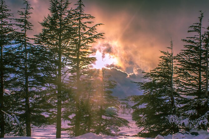 Exploring the Qadisha Valley, Cedars of God, and Baalbek Temples - What the transportation and schedule mean