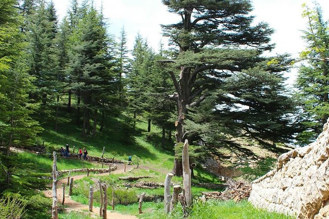 Full-Day Guided Tour of Northern Lebanon with Hotel Pickup - Qadisha Valley and the meaning of Holy Valley