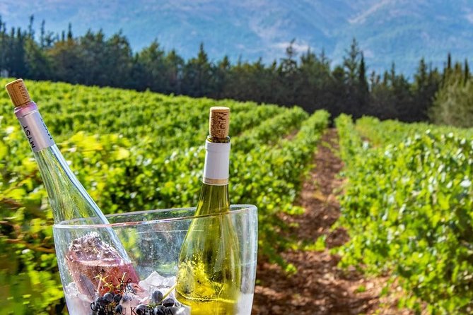 Full-Day Private Wine Tasting Tour - Château St Thomas and the arak connection