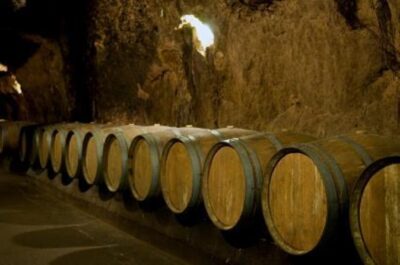 Full-Day Private Wine Tasting Tour