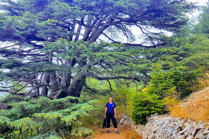 Guided Full-Day Private Trip to Cedars, Baalbek and Chateau Ksara - The Stone of the Pregnant Woman and Baalbek’s giant blocks