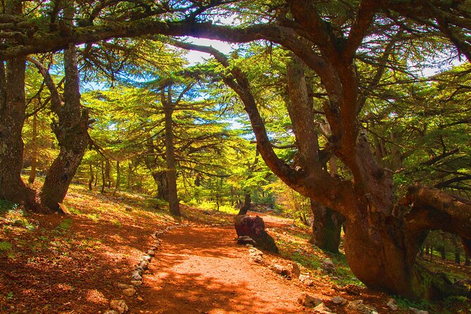 Guided Private tour to Beiteddine Palace , Deir el Qamar and Cedars Forest - Fakhreddine Mosque and Saydet El Talle Church