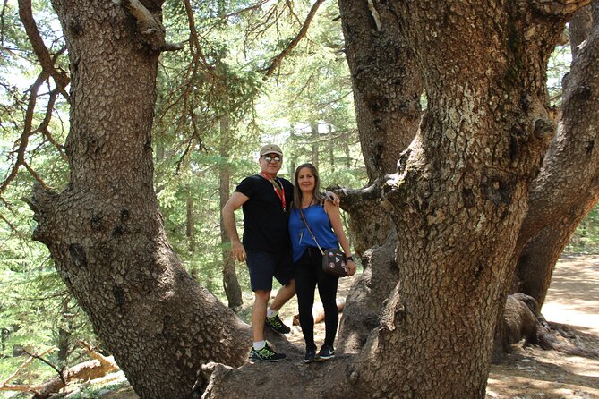 Guided small group to Cedars Reserve & Beiteddine w/lunch+entries - The Guide Makes the Difference