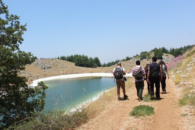 Guided small group to Cedars Reserve & Beiteddine w/lunch+entries - Booking, Weather, and Cancellation