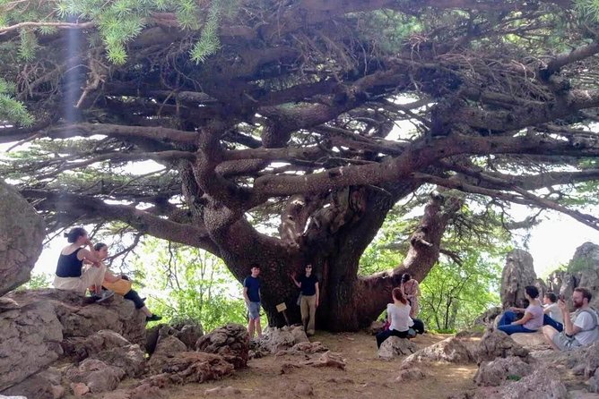 Guided Small-Group Tour to Qadisha, Bcharee & Cedars with Lunch - Bcharre, the town linked to Kahlil Gibran