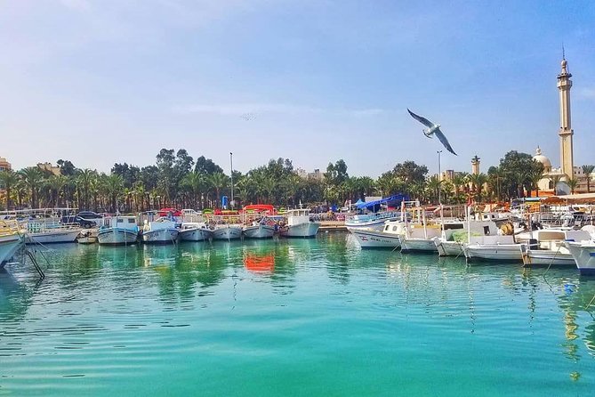 Guided Small-Group Tour to Tripoli and Batroun with Lunch - Sweets, the fairgrounds, and Al-Mina