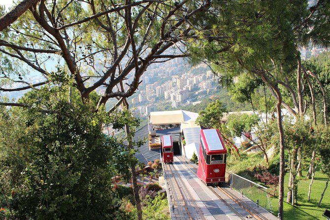 Jeita Grotto, Byblos and Harissa Full-Day Tour from Beirut - Memory of Time and Lebanon’s fossil story