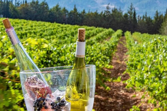Journey Through Lebanese Wine: A Private Tour in the Beqaa Valley - Who should book this Lebanese wine tour?