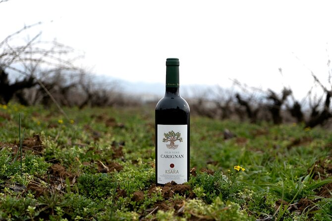 Journey Through Lebanese Wine: A Private Tour in the Beqaa Valley - Château Kefraya’s terraces, altitude, and grape variety
