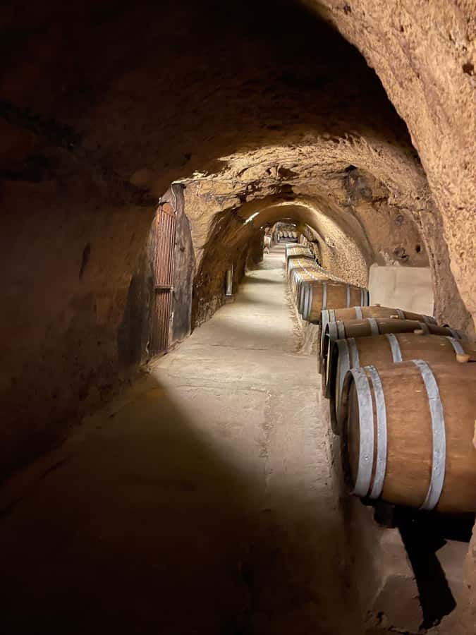 Lebanese wineries guided tour with tastings & lunch - Château St Thomas and the final tasting
