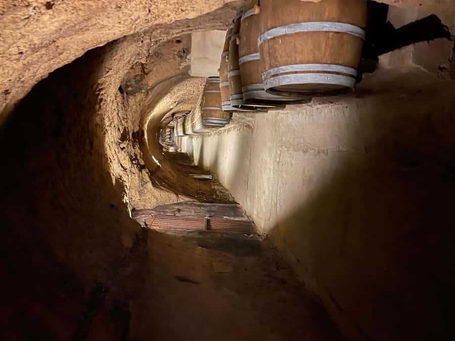 Lebanese wineries guided tour with tastings & lunch - Who will enjoy this day most