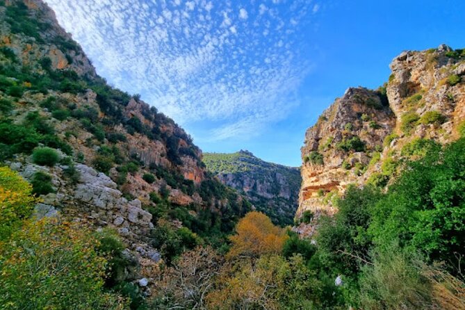 Lebanon Waterfalls Tour - Who will enjoy this tour most