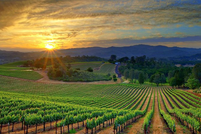 Lebanon Wine Tasting Tour From Beirut - Zahle brings a proper lunch break