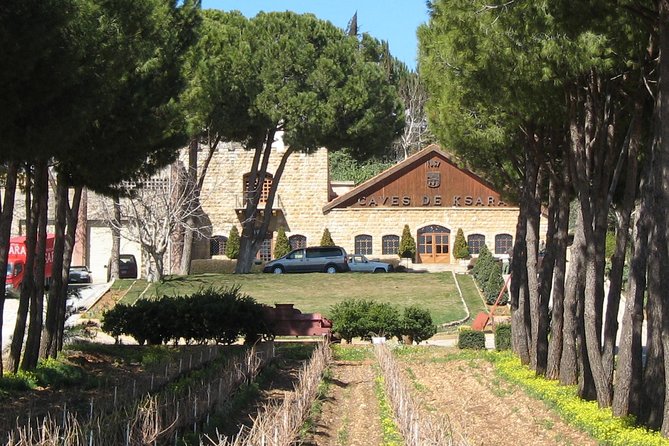 Lebanon Wine Tasting Tour From Beirut - Chateau Rayak and the modern family approach