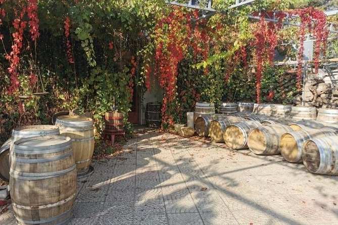 Lebanon Wine Tasting Tour From Beirut - Price and the value of included transport