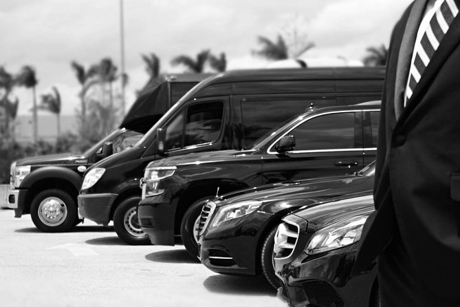 Private chauffeur and minivan for your tours or business needs. - Key points at a glance