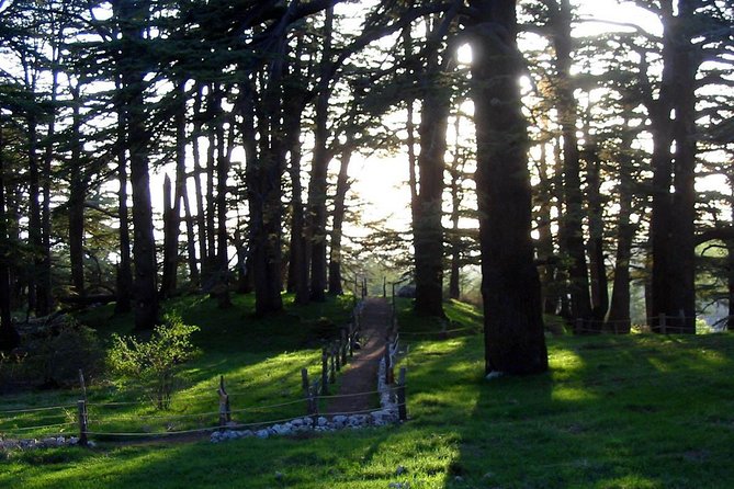PRIVATE Tour to Cedars of God, Besharre & Qozhaya Valley - Five reasons this Beirut day trip works