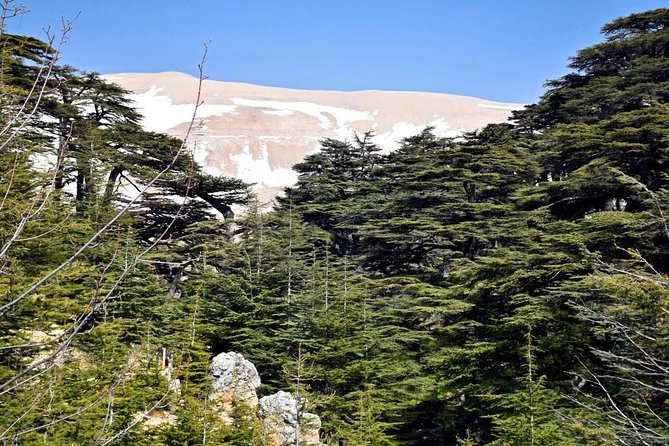 PRIVATE Tour to Cedars of God, Besharre & Qozhaya Valley - Besharre and the former monastery of Gibran Museum