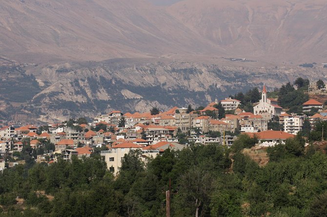 PRIVATE Tour to Cedars of God, Besharre & Qozhaya Valley - Who should book this mountain heritage tour?