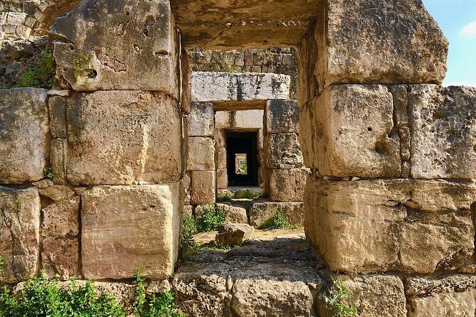 Private Tour: Tyre, Sidon and Maghdouche Day Trip from Beirut - A guide can make the stones speak