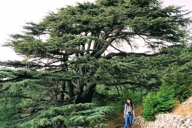 Private Trip to Beiteddine, Deir el Qamar & Maaser el Chouf Cedars - Key points to know before booking