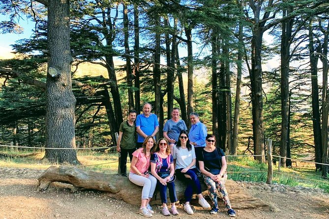 Private Trip to Qadisha Valley, Bcharri and Cedars of God - Why this private mountain trip works