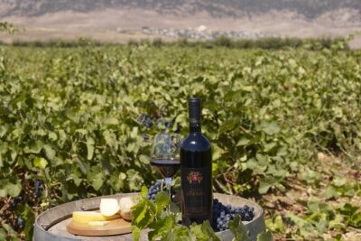Private Wine Tasting Day Tour from Beirut