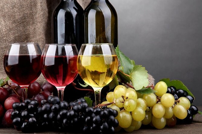 PRIVATE Wine Tasting Tour to the Bekaa Valey Fabulous Wineries - Château St. Thomas brings a second perspective