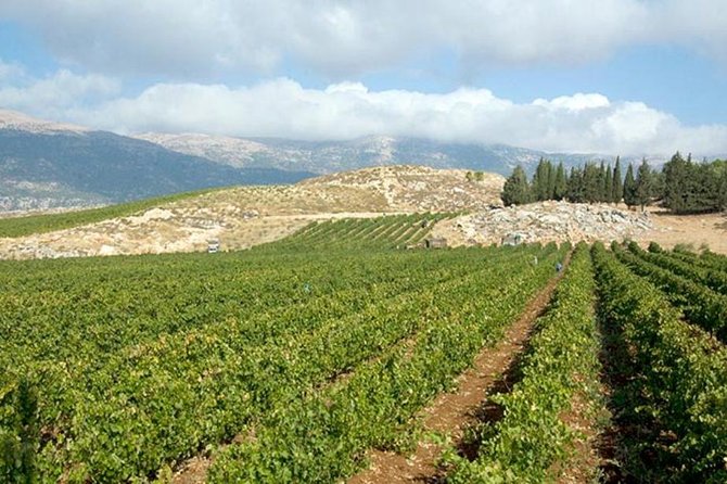 PRIVATE Wine Tasting Tour to the Bekaa Valey Fabulous Wineries - A private vehicle changes the feel of the day