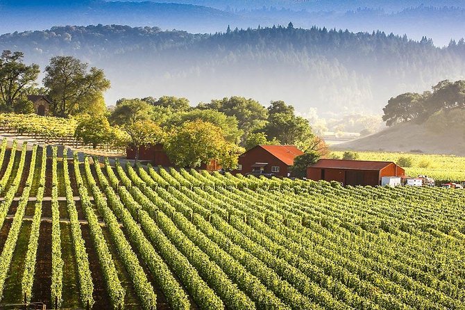 PRIVATE Wine Tasting Tour to the Bekaa Valey Fabulous Wineries - Who will enjoy this tour most