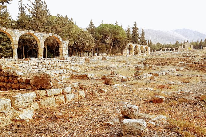 Small Group Tour to Baalbek, Anjar & Ksara with Hotel pickup - The guide and driver can shape the day