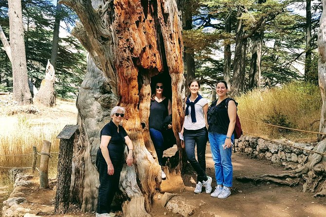 Small-Group Tour with Lunch to Qadisha Valley, Bcharre and Cedars - Why leave Beirut for Qadisha Valley?