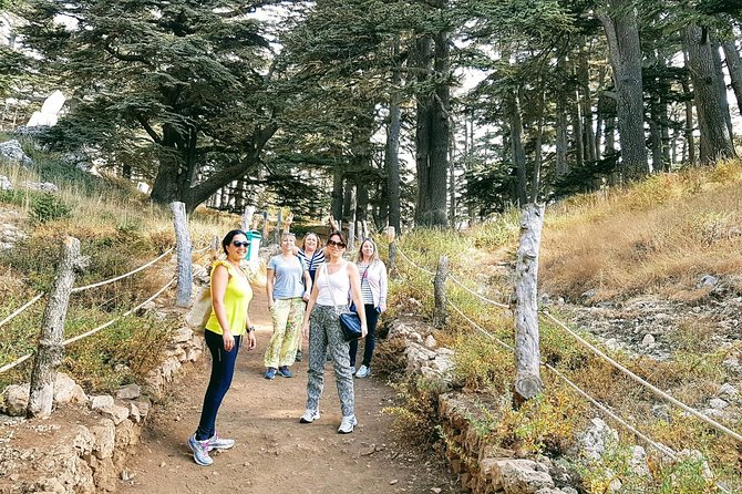 Small-Group Tour with Lunch to Qadisha Valley, Bcharre and Cedars - Saint Anthony the Great at 950 meters